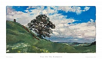 Tree on the Ramparts