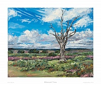 Blasted Tree