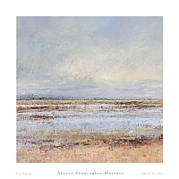 Across Pennington Marshes