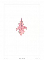 Oak Leaf