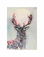Stag