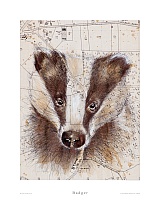 Badger