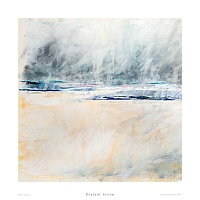 Distant Storm