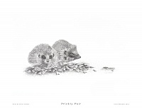 Prickly Pair