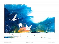 Winter Flight