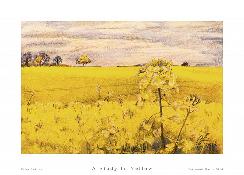A Study in Yellow