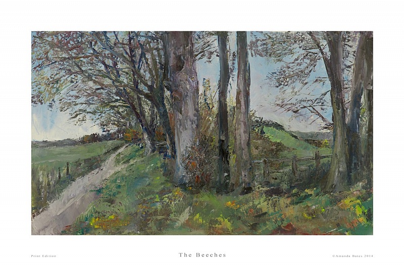 The Beeches