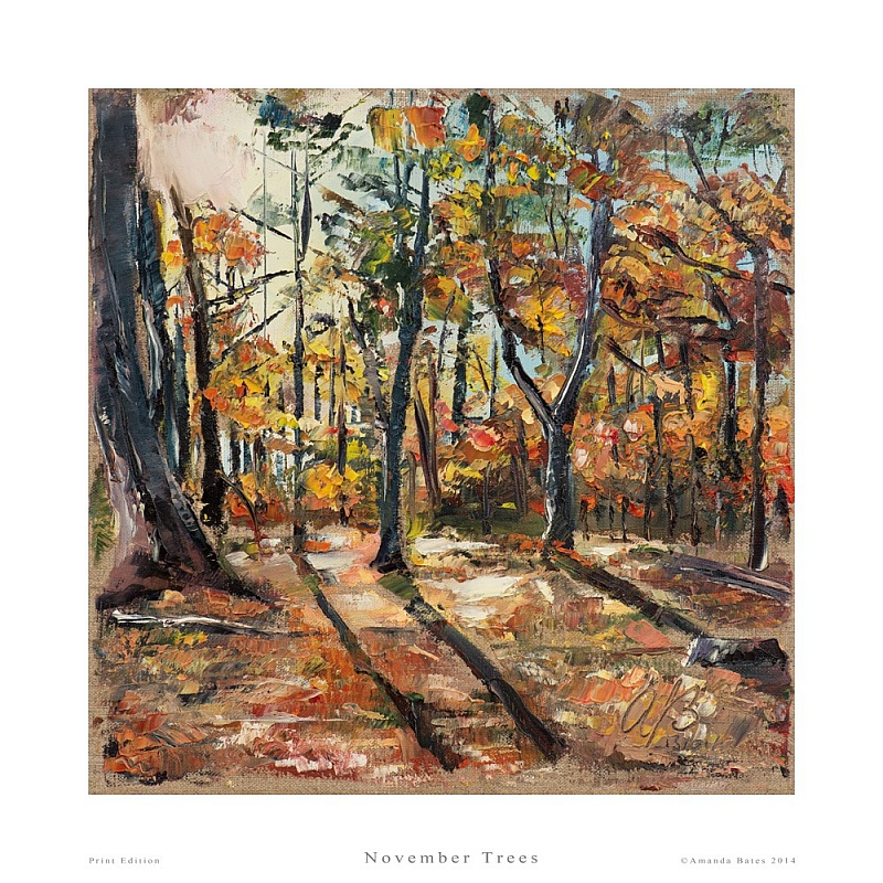 November Trees
