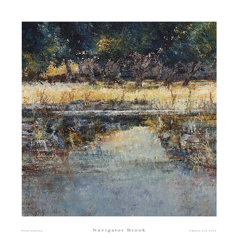 Navigator Brook Dartmoor