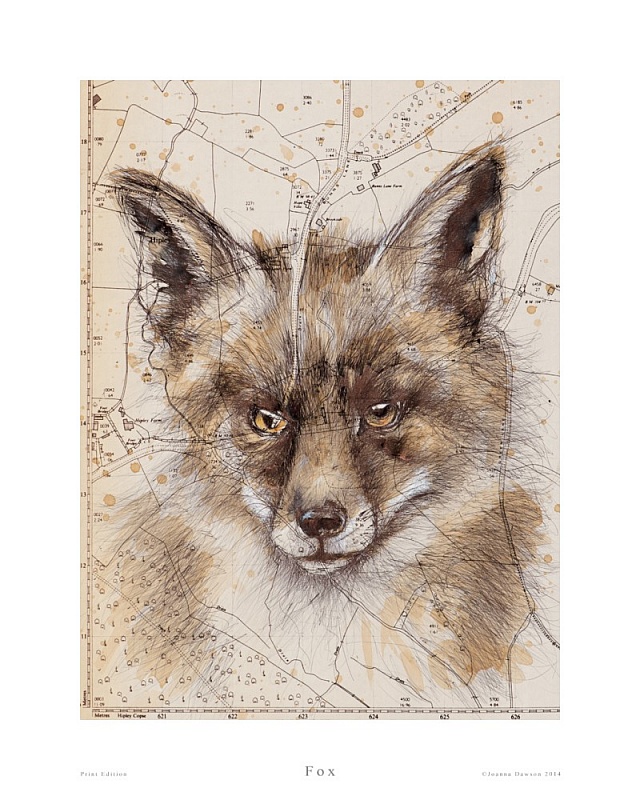 Fox