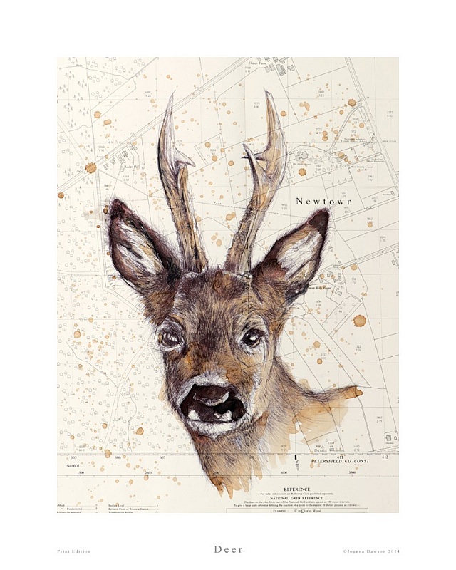 Deer