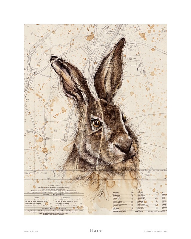 Hare