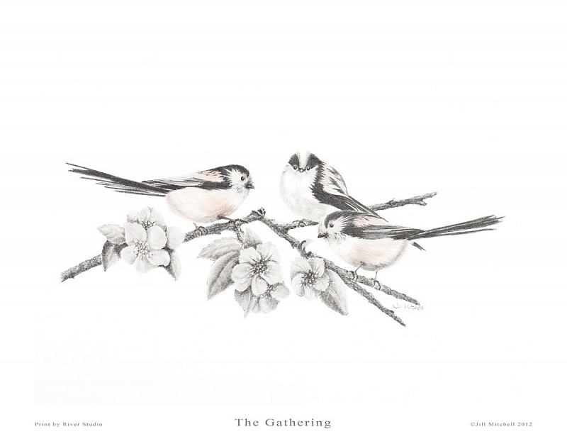 The Gathering