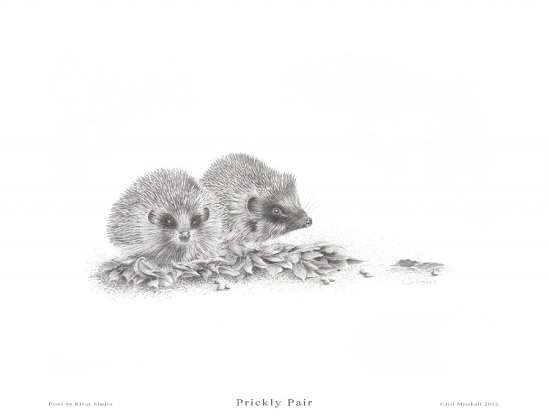 Prickly Pair