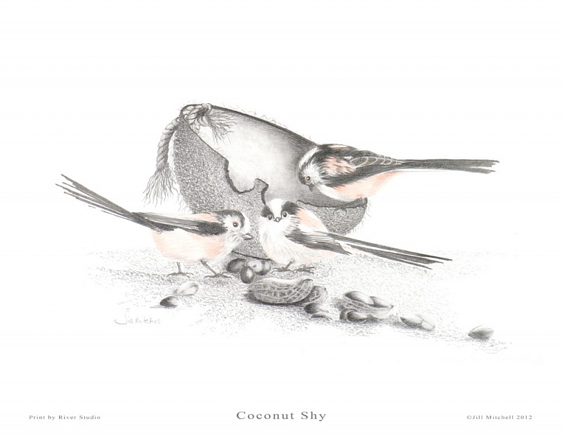Coconut Shy