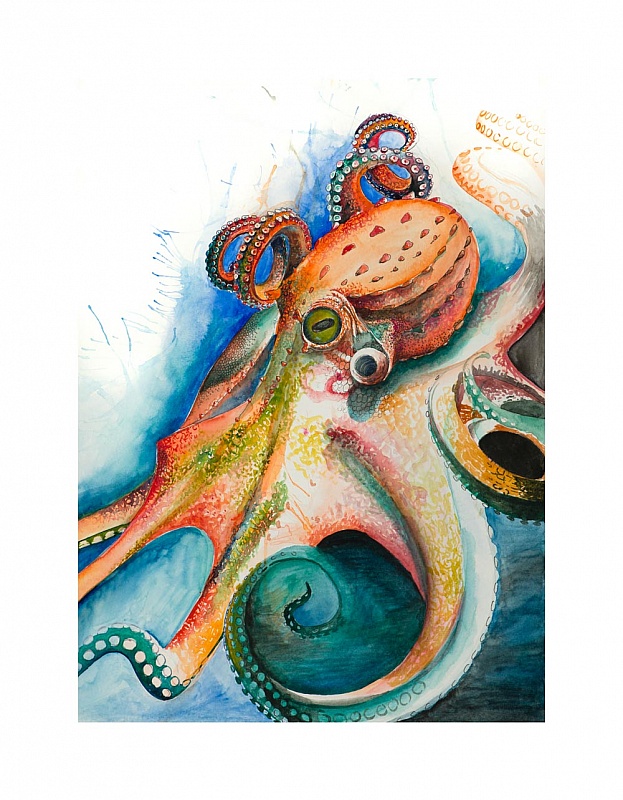 No Ordinary Octopus