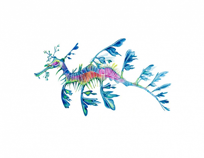 Sea Dragon III