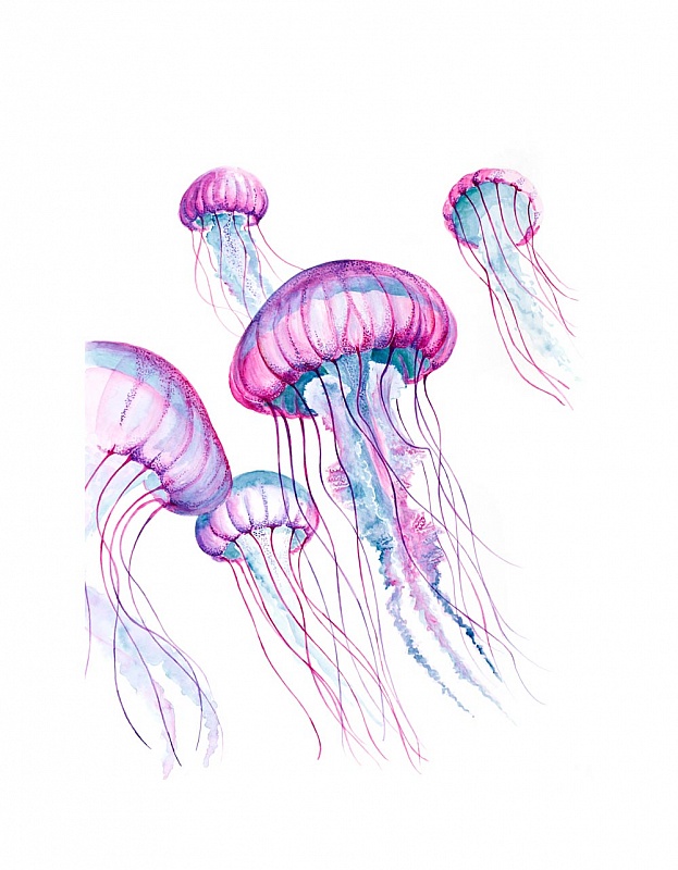 Jellyfish Bloom I